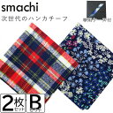 smachi(スマチ) ノンアイロンハンカチ メンズ 2枚 Bセット