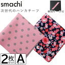 smachi(スマチ) ノンアイロンハンカチ レディース 2枚 Aセット