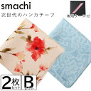 smachi(スマチ) ノンアイロンハンカチ レディース 2枚 Bセット