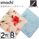 【ふるさと納税】smachi(スマチ) ノンアイロンハンカチ レディース 2枚 Bセット【VB01452】