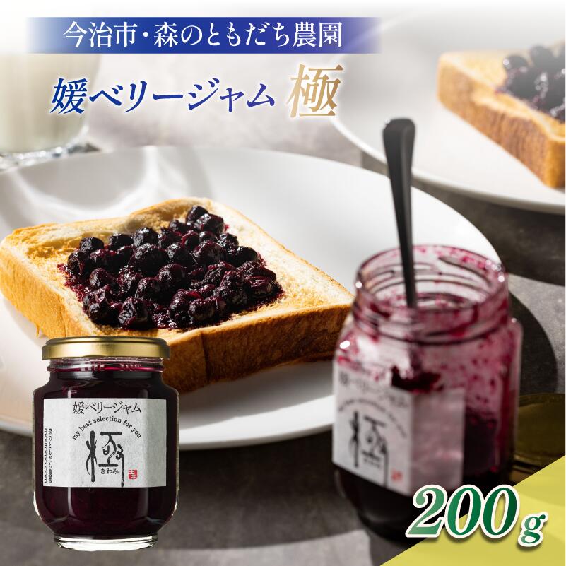 ＼ホテルで提供/最高級 ブルーベリー ジャム 媛ベリージャム 「極」 200g 国産 無添加 オーガニック 甘い マーマレード 朝食 パン 愛媛県今治産 ジャム 果肉 [VB00160]