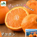 【ふるさと納税】【先行予約】【毎年売切れ】愛媛県今治産 特選 デコポン たっぷり 18〜24玉(L〜3L) 期間限定 でこぽん 国産 特産品 大きい みかん 柑...
