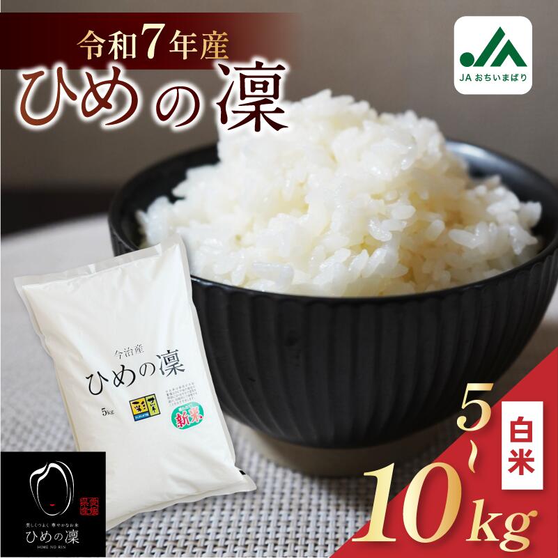 【ふるさと納税】【令和7年産】【2025年11月10日から順次発送】今治産 米「ひめの凜」 5kg・10kg【VB01580】こだわり製法 国産 白米 精..