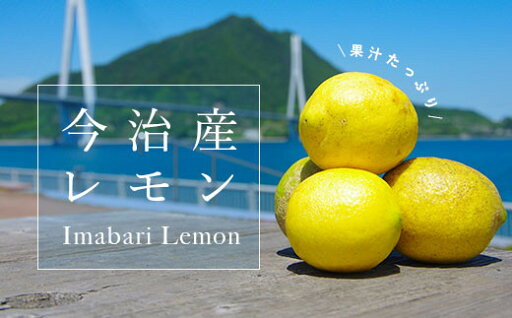 【ふるさと納税】【先行予約】愛媛県今治産 国産レモン メガ盛り 10kg 愛媛県産 しまなみレモン 名産品 人気商品 柑橘 料理 JA【KC00790】 【ふるさと納税】【先行予約】愛媛県今治産 国産レモン メガ盛り 10kg 愛媛県産 しまなみレモン 名産品 人気商品 柑橘 料理 JA【KC00790】