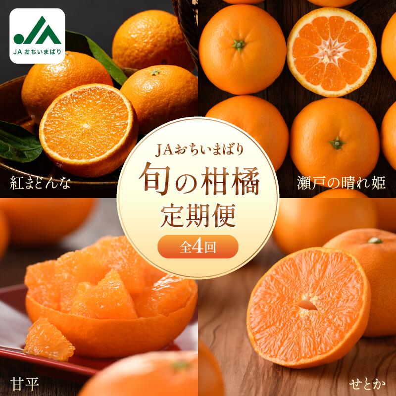 楽天市場】紅マドンナ 8の通販 楽天市場】紅マドンナ 8の通販