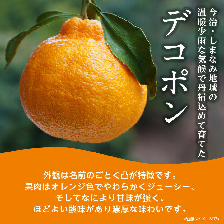 【ふるさと納税】【毎年売切れ】愛媛県今治産 特選 デコポン たっぷり 18～20玉(2L～3L) 期間限定 国産 人気商品 定番商品 特産品 みかん 柑橘 フルーツ 果物 ギフト 甘い JA 【B251】【KB02510】