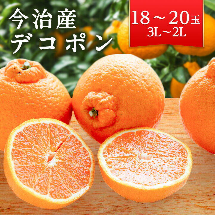 【ふるさと納税】【毎年売切れ】愛媛県今治産 特選 デコポン たっぷり 18～20玉(2L～3L) 期間限定 で...