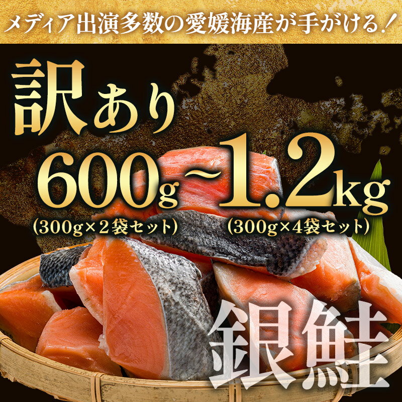 【ふるさと納税】＼選べる内容量／訳あり塩銀鮭切り身＜600g(300g×2袋)／1.2kg(300g×4袋)＞【V003250】【配送不可地域：離島】 銀鮭 鮭 ふるさと納税訳あり鮭切り身 ふるさと納税訳あり食品 ふるさと納税シャケ切り身 サーモン 冷凍 高たんぱく 銀鮭切身 不揃い 家計応援