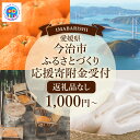 【ふるさと納税】返礼品なし 1,000円から 愛媛県今治市 愛媛ふるさと納税【Z002670】