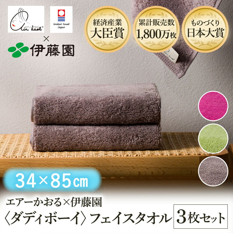 【ふるさと納税】＼テレビで紹介されました！／（今治タオルブランド認定品）エアーかおる×伊藤園 ダデ..