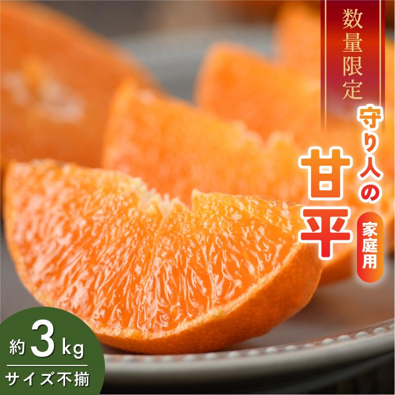 [先行予約][数量限定]守り人の甘平 3kg(家庭用)[K003070]2月上旬〜2月下旬に順次発送予定 かんぺい 愛媛 甘平 みかん 愛媛県 果物 フルーツ みかん 3kg 甘い 高級 柑橘類 守り人