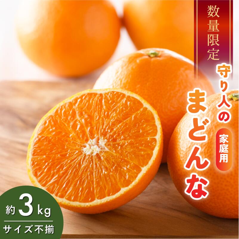 [先行予約][数量限定]守り人のまどんな 3kg(家庭用)[K003060]12月上旬〜12月下旬に順次発送予定 まどんな 愛媛 マドンナ まどんな みかん 愛媛県 果物 フルーツ みかん 3kg 年内発送 甘い 高級 柑橘類 守り人