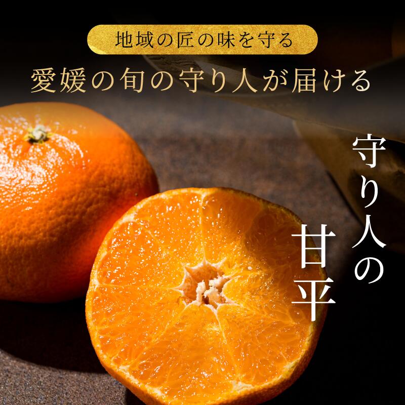 【ふるさと納税】【先行予約】【数量限定】守り人の甘平 3kg（家庭用）【K003070】2月上旬～2月下旬に順次発送予定 かんぺい 愛媛 甘平 みかん 愛媛県 果物 フルーツ みかん 3kg 甘い 高級 柑橘類 守り人