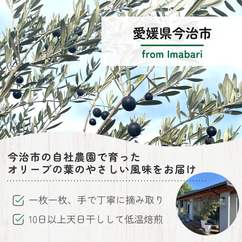 【ふるさと納税】オリーブのシズク（オリーブ茶2パック・オリーブ玄米茶3パック）【V002680】ふるさと納税 愛媛県 今治市 今治 今治産 お茶 オリーブ茶 オリーブ玄米茶 ティーパック カフェインレス ポリフェノール ダイエット 腸活 リラックス 瀬戸内園芸