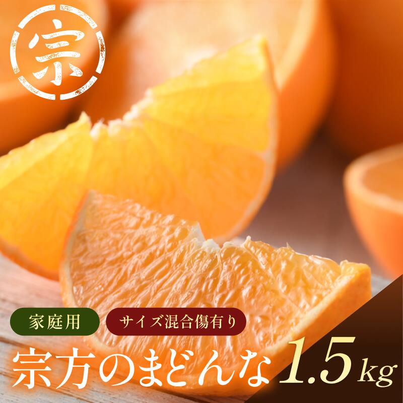 [先行予約]宗方のまどんな(家庭用)約1.5kg[K003600K1.5]2025年11月中旬〜2026年1月上旬に順次発送予定 紅まどんなと同品種 愛媛県 今治市 先行予約 今治産 まどんな マドンナ 高級みかん みかん フルーツ 甘い 柑橘 果物 愛媛みかん ふるさと納税