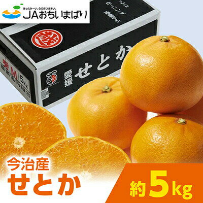 【ふるさと納税】＼毎年売切れ／ 愛媛県今治産 せとか たっぷり 5kg 国産 甘くてジューシー 人気商品 みかん 柑橘 フルーツ 果物 ギフト用柑橘 JA 紅まどんなと甘平に並ぶ人気商品【化粧箱付】【2024年3月1日から配送開始】【C077】【配送不可地域：離島】･･･