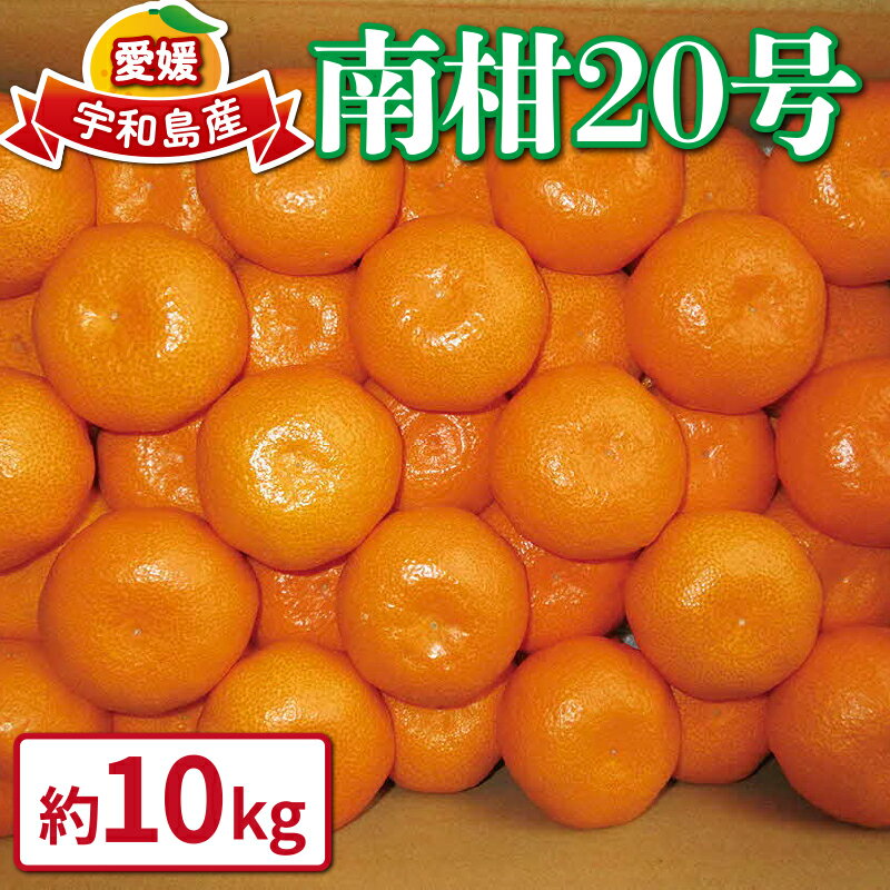 楽天市場】南柑20 10kgの通販