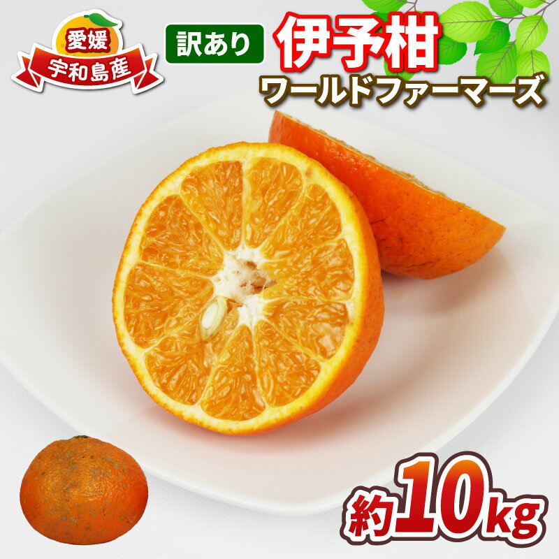 【ふるさと納税】 愛媛みかん 訳あり 伊予柑 10kg ワールドファーマーズ わけあり いよかん 愛媛ミカン 愛媛蜜柑 訳ありみかん 訳あり蜜柑 訳アリ 訳あり品 訳有り わけあり mikan 果物 くだもの フルーツ 柑橘 みかん 蜜柑 数量限定 産地直送 国産 愛媛 宇和島 B010-024022