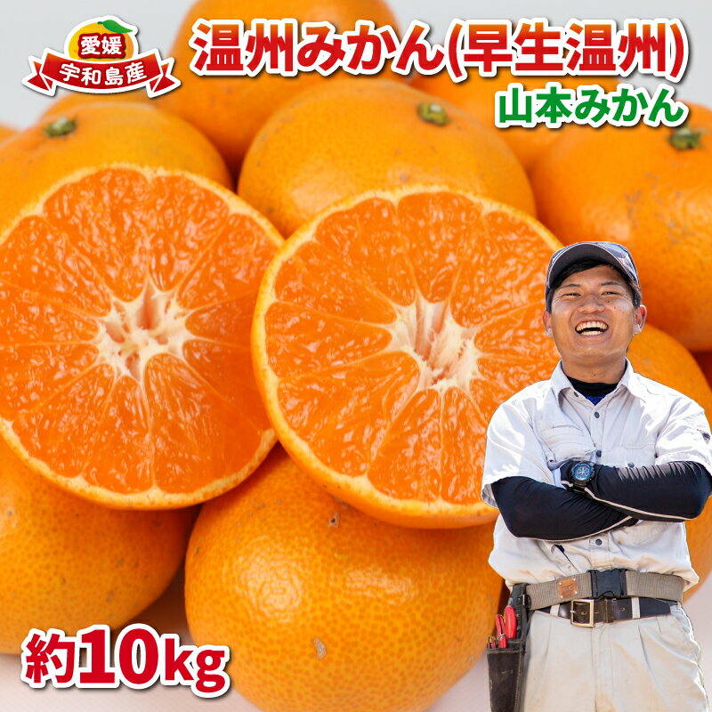 楽天市場】ふるさと納税 愛媛 みかん 10kgの通販 楽天市場】ふるさと納税 愛媛 みかん 10kgの通販