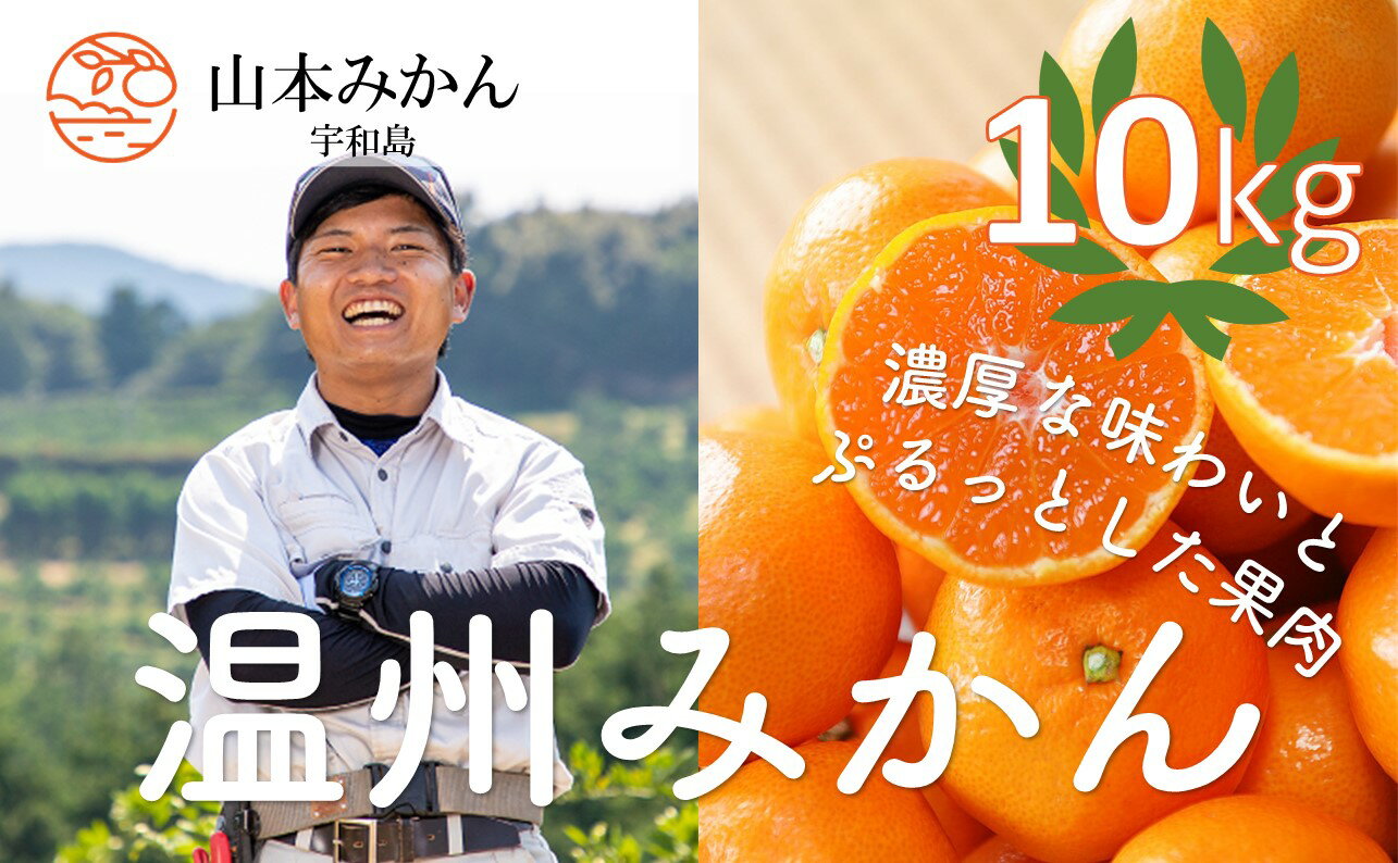 【ふるさと納税】 愛媛 みかん 南柑20号 10kg 家庭用 山本みかん 温州みかん 予約受付 温州 蜜柑 果物...