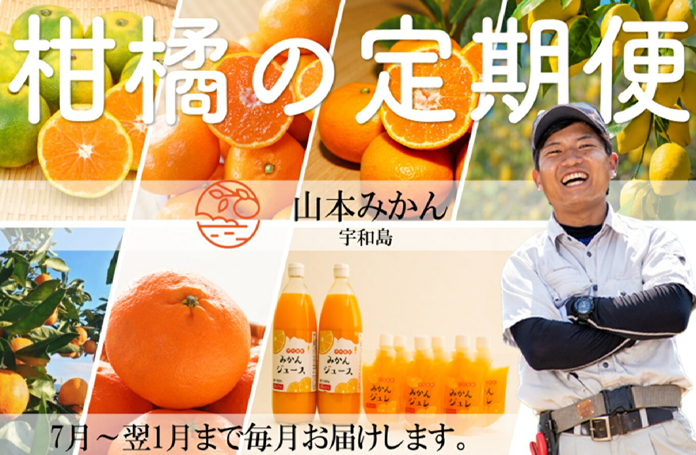 【ふるさと納税】 柑橘 の 7回 定期便 山本みかん 温州み