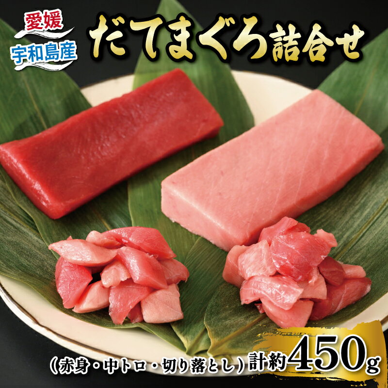 【ふるさと納税】 だてまぐろ 詰め合わせ 赤身 150g 1柵 中トロ 150g 1柵 切落し 75g 2パック 辻水産 ...