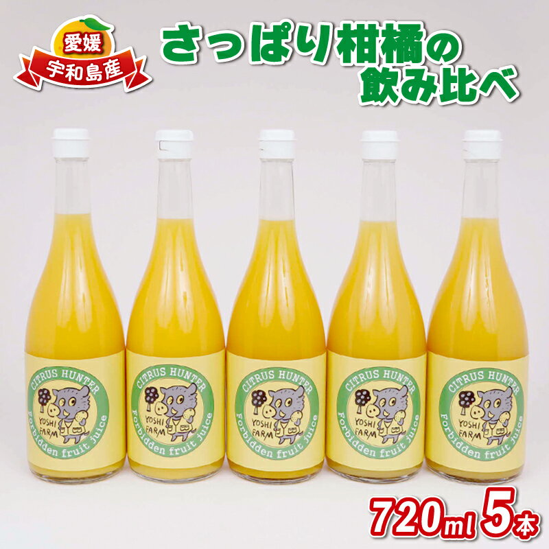 みかん ジュース 720ml ×5本 ヨシファーム さっぱり みかんジュース ストレートジュース ストレート 100%ジュース 果汁 果汁100％ 飲料 柑橘 果物 フルーツ 無添加 蜜柑 農家直送 産地直送 数量限定 国産 愛媛 宇和島 H012-067003