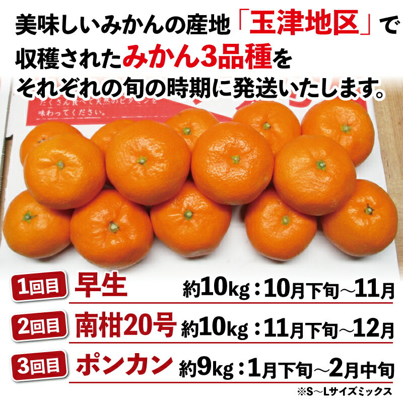 【ふるさと納税】 優品 柑橘 定期便 3回 早生温州 10kg 南柑20号 10kg ポンカン 9kg S~L サイズ ミックス 玉津みかん ニュービジネスユニット 早生 温州 温州みかん 果物 くだもの フルーツ 柑橘 蜜柑 みかん 農家直送 産地直送 数量限定 国産 愛媛 宇和島 B050-058007