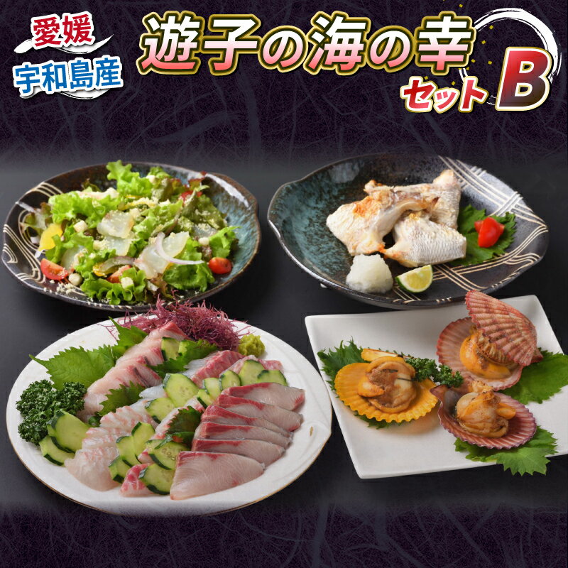 真鯛 ハマチ タイカマ ヒオウギ貝 海の幸 セット B 愛媛県漁業協同組合遊子支所 遊子 鯛 タイ マダイ 出世魚 ブリ 鰤 貝 刺身 お刺身 刺し身 お刺し身 フィーレ ブロック 加工 魚 魚介 しゃぶしゃぶ たたき 産地直送 数量限定 国産 愛媛 宇和島