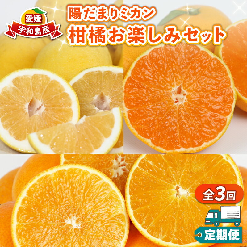 みかん定期便 柑橘定期便 全3回 早生みかん 愛果28号 河内晩柑 陽だまりミカン 蜜柑定期便 甘い 果物 フルーツ 柑橘 愛媛みかん 愛媛ミカン 蜜柑 みかん mikan 早生温州 温州みかん 農家直送 産地直送 数量限定 国産 愛媛 愛媛県産 宇和島
