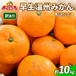 【ふるさと納税】 訳あり 愛媛 みかん 早生 温州 10kg 陽だまりミカン 早生温州 早生みかん 温州みかん 果物 くだもの 愛媛みかん 愛媛ミカン 愛媛蜜柑 訳アリ 訳あり品 訳有り わけあり 愛媛産 フルーツ 柑橘 蜜柑 農家直送 産地直送 数量限定 国産 愛媛 宇和島 B010-050006