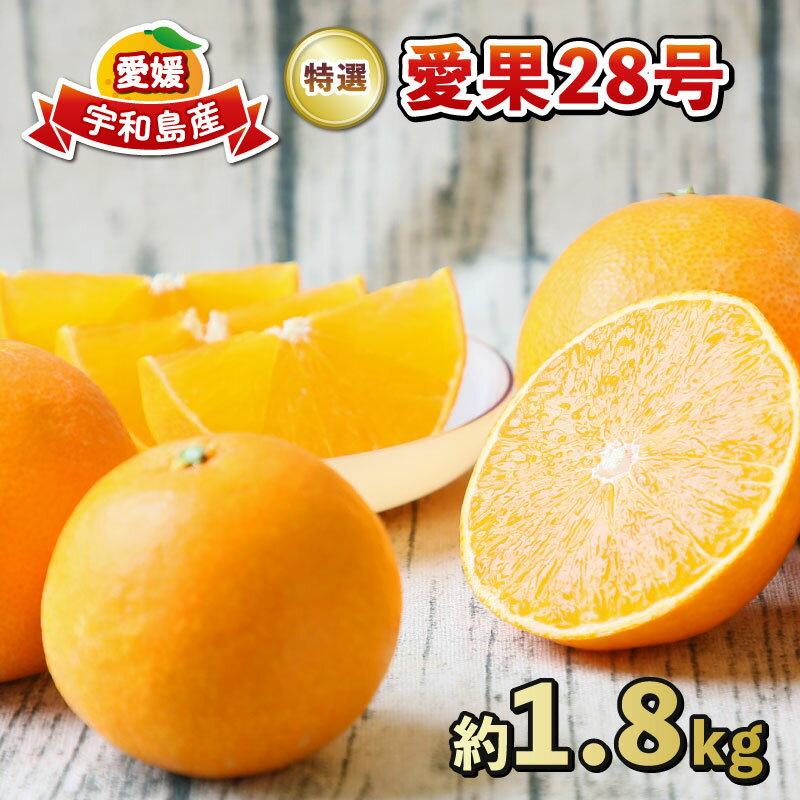 贈答用 愛果28号 1.8kg 特選 フレッシュつちやま 先行予約 贈答品 ギフト プレゼント 高級 愛媛県産 限定 品種 果物 くだもの フルーツ 柑橘 みかん 愛媛みかん 愛媛ミカン 愛媛蜜柑 mikan 産地直送 数量限定 国産 愛媛 宇和島