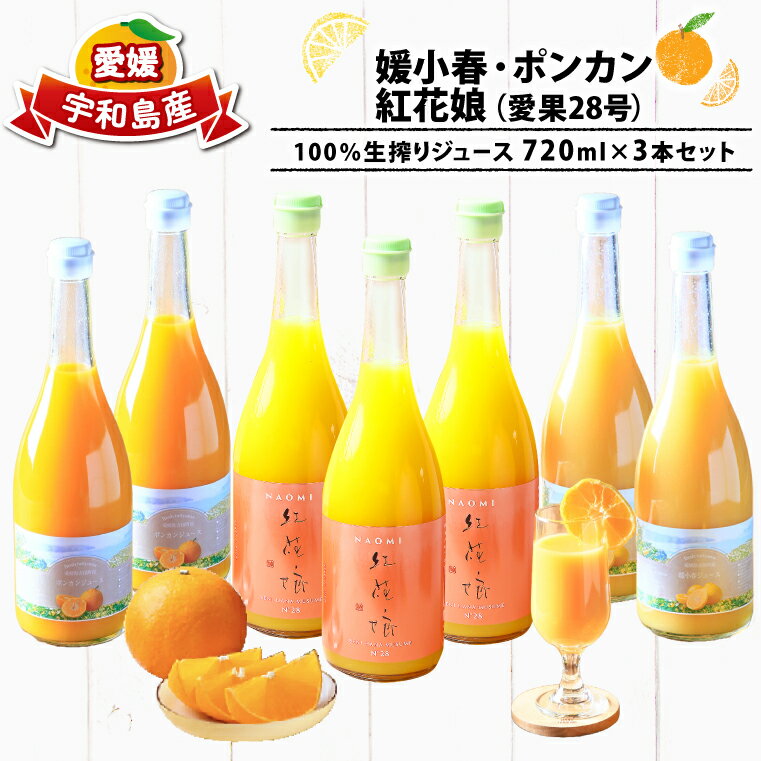 【ふるさと納税】 みかんジュース 720ml ×3本 媛小春 ポンカン 紅花娘 愛果28号 フレッシュつちやま 果物 くだもの フルーツ 果汁 蜜柑 愛媛みかん みかん mikan 飲料 柑橘 ジュース ストレートジュース ストレート 産地直送 数量限定 国産 愛媛 宇和島 H015-096009のサムネイル