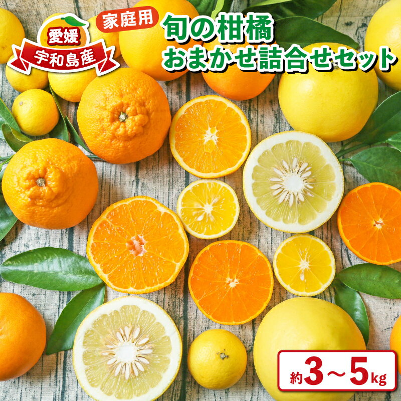 楽天市場】真穴みかん 5キロ(食品)の通販 楽天市場】真穴みかん 5キロ(食品)の通販