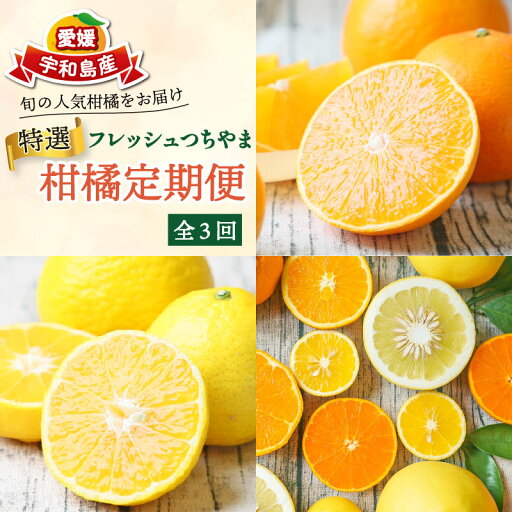 【ふるさと納税】 みかん定期便 特選 贈答用 旬 柑橘定期便 全3回 愛果28号 媛小春 おまかせ詰合せ フレッシュつちやま 愛媛みかん 愛媛蜜柑 愛媛ミカン みかん 愛媛産みかん 果物 くだもの フルーツ 柑橘 みかん 産地直送 数量限定 国産 愛媛 宇和島 B054-096023 【ふるさと納税】 みかん定期便 特選 贈答用 旬 柑橘定期便 全3回 愛果28号 媛小春 おまかせ詰合せ フレッシュつちやま 愛媛みかん 愛媛蜜柑 愛媛ミカン みかん 愛媛産みかん 果物 くだもの フルーツ 柑橘 みかん 産地直送 数量限定 国産 愛媛 宇和島 B054-096023