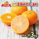 【ふるさと納税】 愛媛 みかん 贈答用 秀品 3kg フレッシュつちやま 先行予約 特選 温州 温州みかん 贈答用みかん 早生 南柑20号 贈答品 高級 果物 くだもの フルーツ 柑橘 蜜柑 愛媛みかん 愛媛蜜柑 愛媛ミカン 農家直送 産地直送 数量限定 国産 愛媛 宇和島 B015-096004