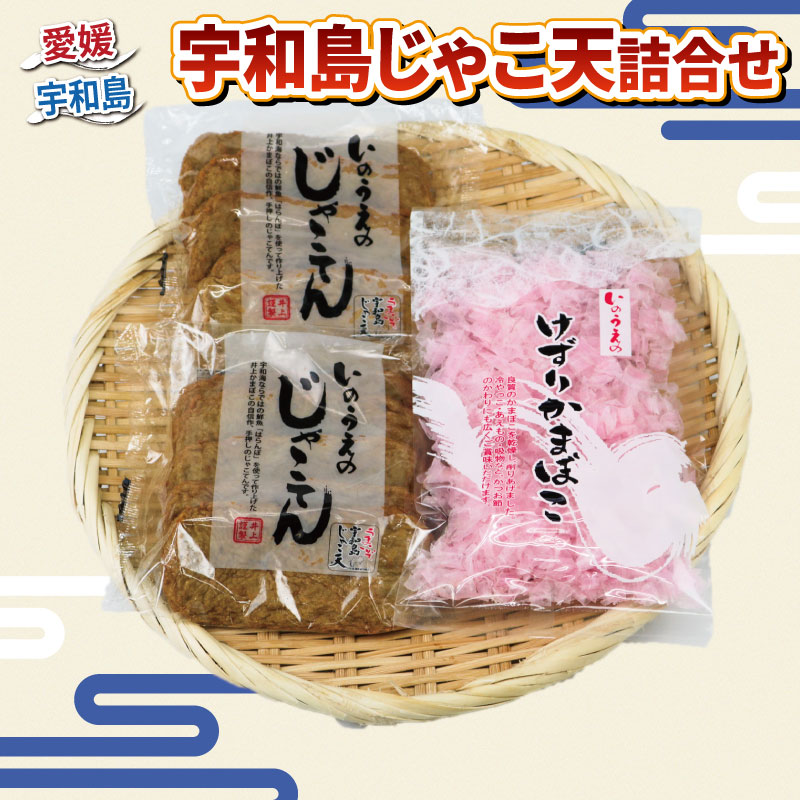 【ふるさと納税】 ＼10営業日以内発送／ 手押し じゃこ天 10枚 けずり蒲鉾 1袋 詰合せ 井上蒲鉾本舗 手..