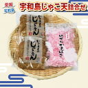 【ふるさと納税】 \10営業日以内発送/ 手押し じゃこ天 10枚 けずり蒲鉾 1袋 詰合せ 井上蒲鉾本舗 手押しじゃこ天 手作り 蒲鉾 けずりかまぼこ かまぼ...