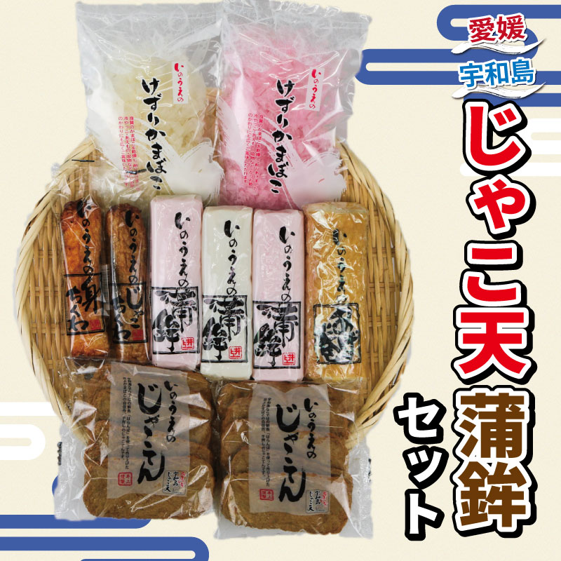【ふるさと納税】 ＼10営業日以内発送／ じゃこ天 蒲鉾 詰め合わせ セット 井上蒲鉾本舗 手押しじゃこ..