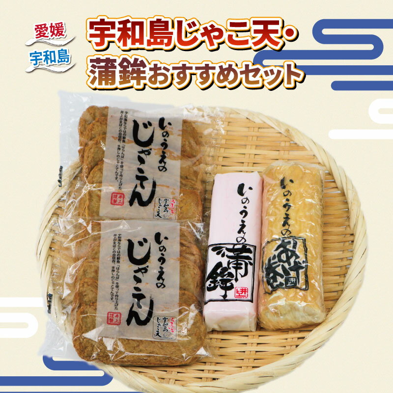 【ふるさと納税】 ＼10営業日以内発送／ 手押し じゃこ天 蒲鉾 おすすめ セット 井上蒲鉾本舗 手押しじ..