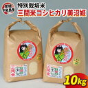 【ふるさと納税】 特別栽培米 コシヒカリ 美沼姫 計10kg