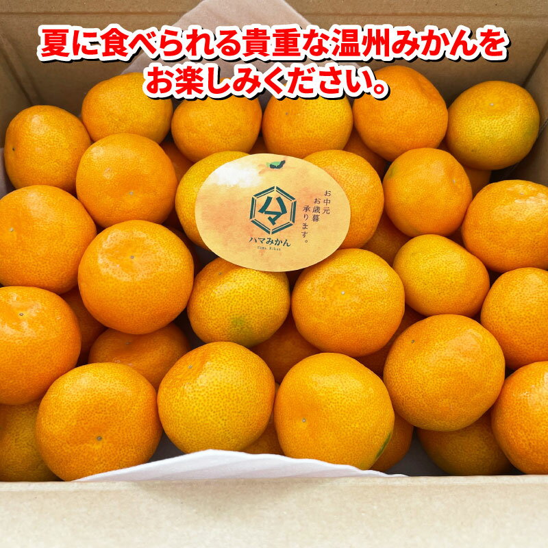 【ふるさと納税】 温室みかん 興津 早生 4kg 家庭用 7月発送 先行予約 ハマみかん 温州みかん みかん 興津早生 早生温州 ハウス栽培 ハウスみかん ハウス蜜柑 果物 フルーツ 柑橘 愛媛ミカン 愛媛蜜柑 愛媛みかん 農家直送 産地直送 数量限定 国産 愛媛 宇和島 B025-075007