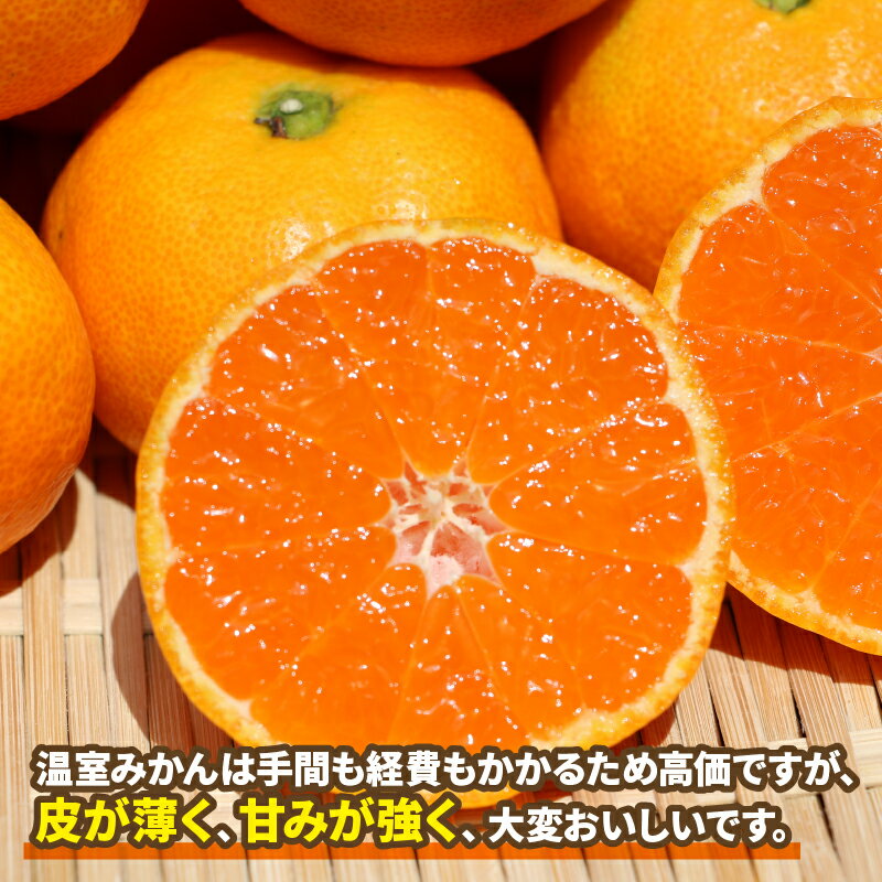 【ふるさと納税】 温室みかん 興津 早生 4kg 家庭用 7月発送 先行予約 ハマみかん 温州みかん みかん 興津早生 早生温州 ハウス栽培 ハウスみかん ハウス蜜柑 果物 フルーツ 柑橘 愛媛ミカン 愛媛蜜柑 愛媛みかん 農家直送 産地直送 数量限定 国産 愛媛 宇和島 B025-075007