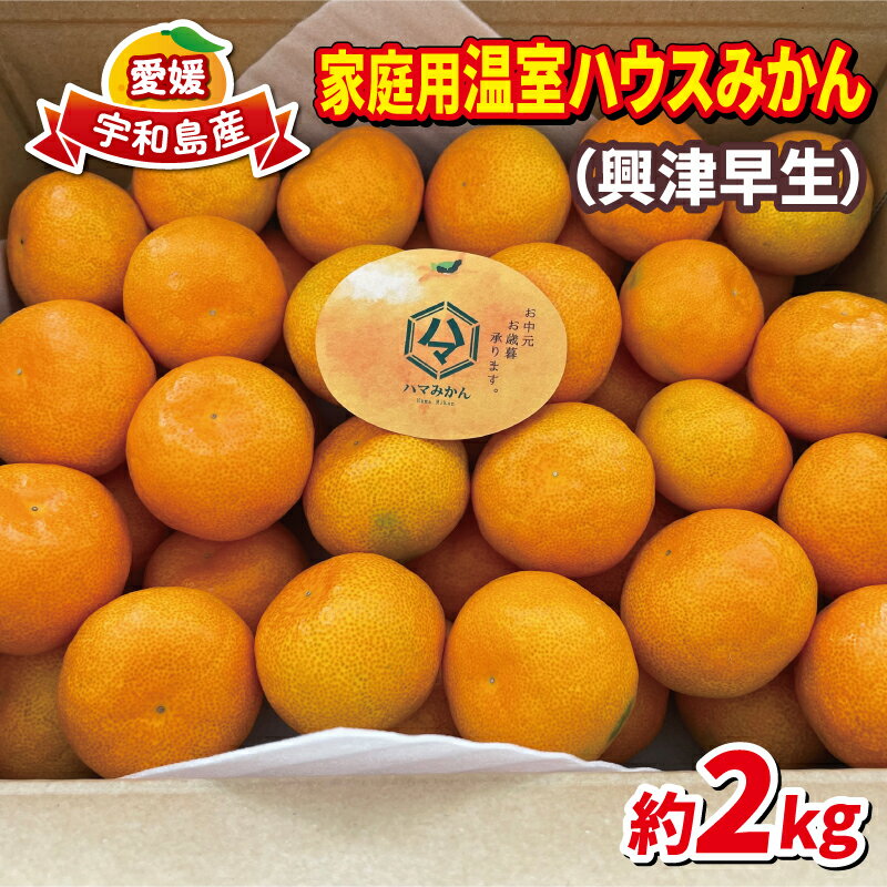 愛媛 温室 みかん 2kg 家庭用 ハウス栽培 ハマみかん 温州みかん 果物 フルーツ 柑橘 蜜柑 農家直送 産地直送 数量限定 国産 愛媛 宇和島