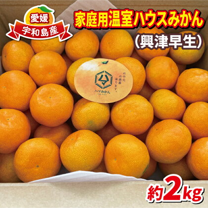 愛媛 温室 みかん 2kg 家庭用 ハウス栽培 ハマみかん 温州みかん 果物 フルーツ 柑橘 蜜柑 農家直送 産地直送 数量限定 国産 愛媛 宇和島 B012-075004