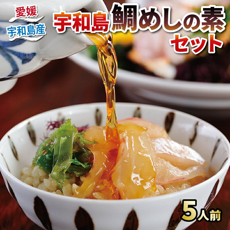 【ふるさと納税】 鯛めし 素 5食 セット 鯛 スライス 6