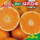 【ふるさと納税】 柑橘 訳ありみかん はれひめ 5kg 先行予約 マル南フルーツ 瀬戸の晴れ姫 晴れ姫 サイズ 不揃い 高級 希少 品種 わけあり 愛媛みかん 愛媛ミカン 愛媛蜜柑 mikan 果物 くだもの フルーツ みかん 蜜柑 産地直送 数量限定 国産 愛媛 宇和島 B012-106002