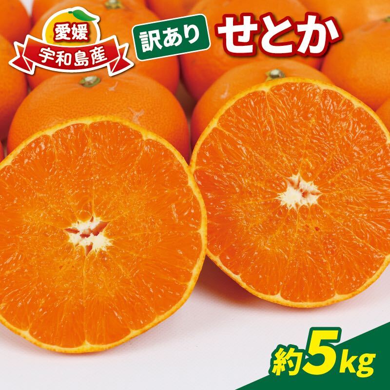 【ふるさと納税】 訳あり せとか 5kg マル南フルーツ 果物 フルーツ 高級 ブランド 希少 柑橘 みかん 蜜柑 国産 愛媛 宇和島 数量限定 産地直送 農家直送 B010-106023のサムネイル