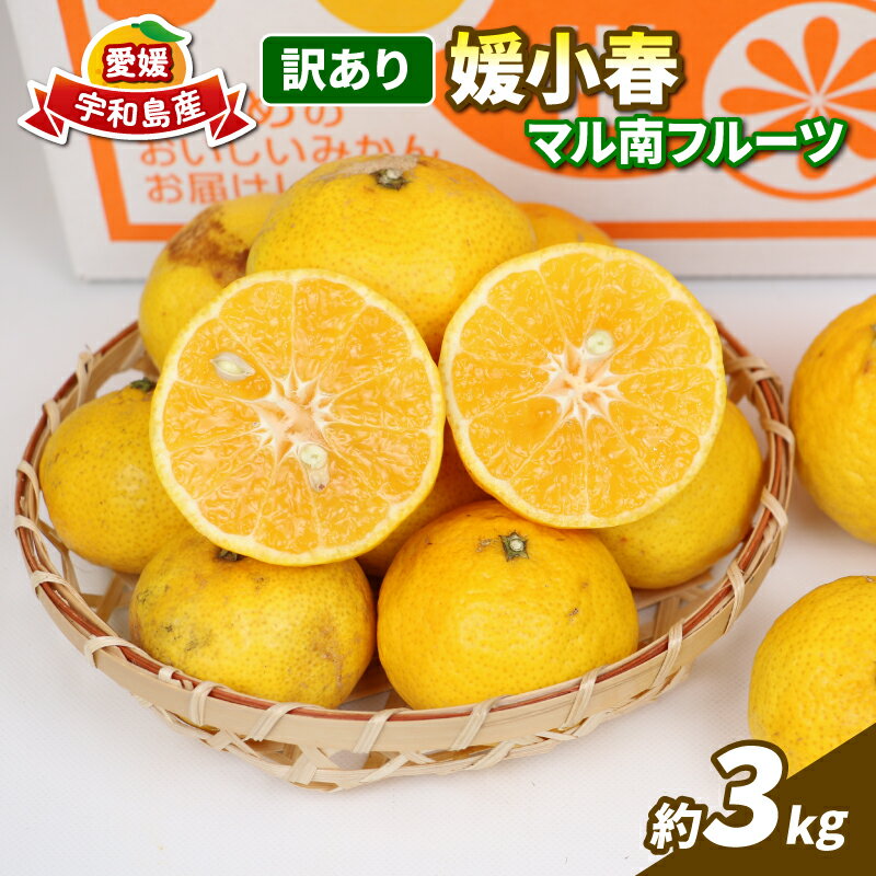 訳あり 媛小春 3kg 先行予約 希少 高級 愛媛県 限定 品種 マル南フルーツ サイズ 不揃い わけあり 愛媛みかん 愛媛ミカン 愛媛蜜柑 mikan 高級柑橘 訳ありみかん 果物 くだもの フルーツ 柑橘 みかん 産地直送 数量限定 国産 愛媛 宇和島