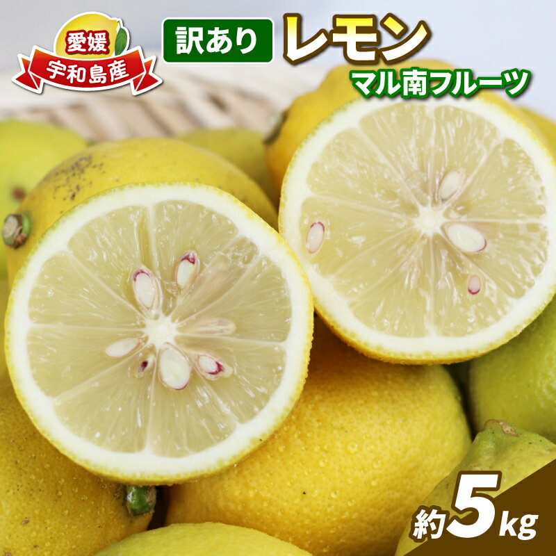 【ふるさと納税】 訳あり 檸檬 5kg マル南フルーツ 先行予約 不揃い わけあり レモン れもん レモン果汁 酸味 高級 果物 くだもの ビタミン 健康 ダイ...